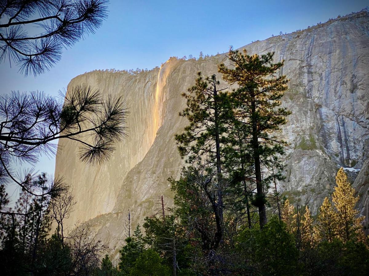 Yosemite Charm By Casa Oso With Spa And Breathtaking Views Mariposa Dış mekan fotoğraf